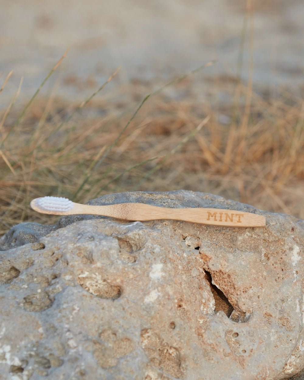 MINT Bambus Zahnbürste
