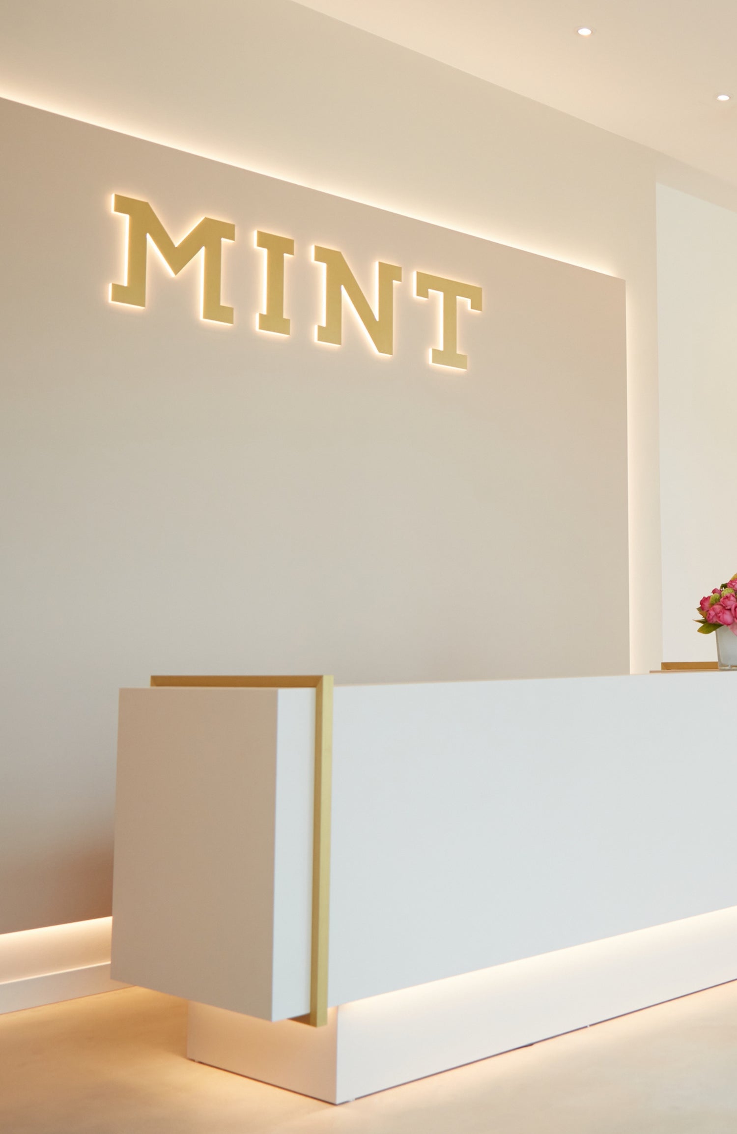 MINT by Dr Mintcheva Dental Spa Theke