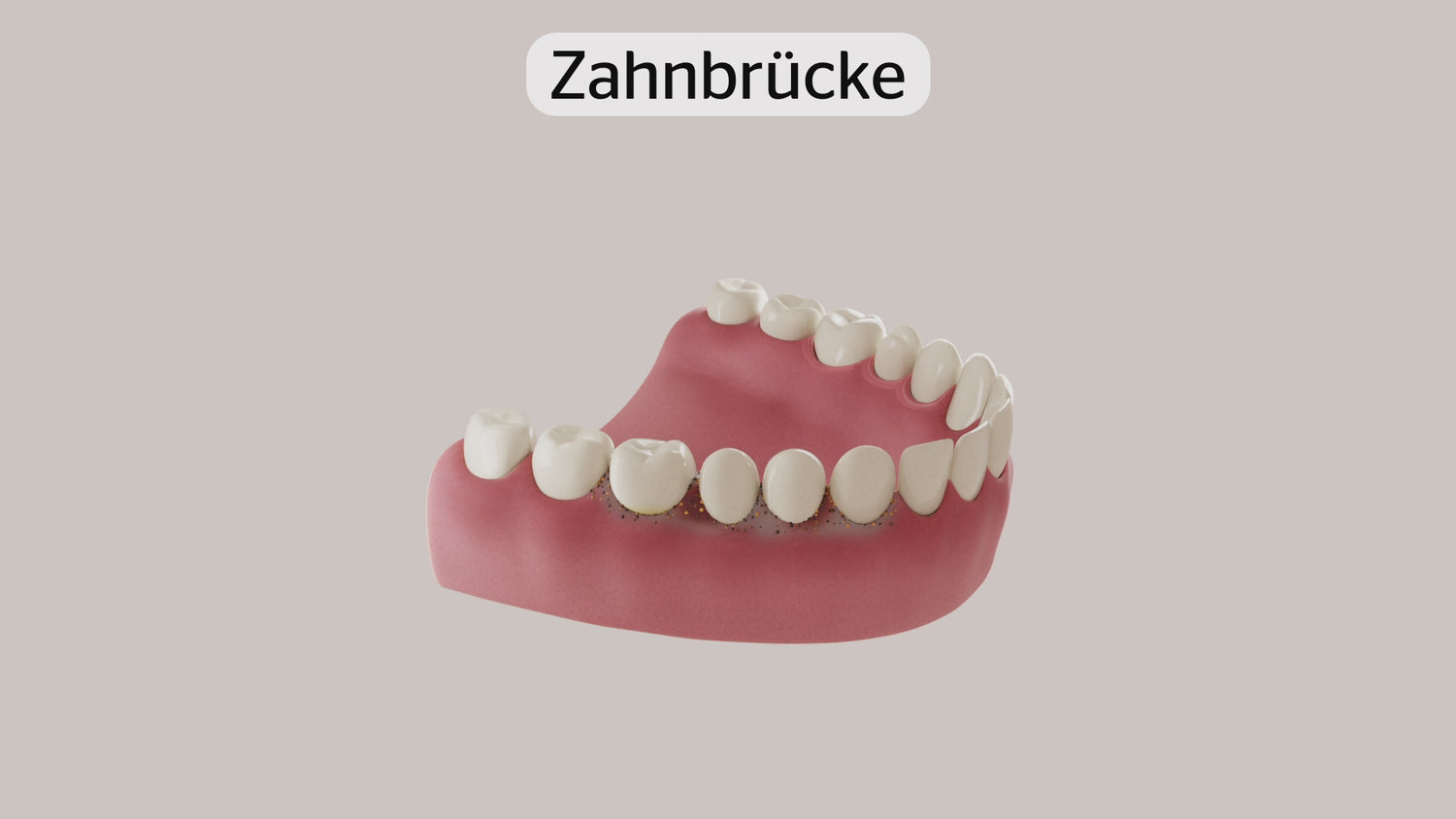 MasterFloss Zahnseide &amp; Biotic Zahnpasta
