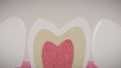 Zahnbürste Clean Doppelpack